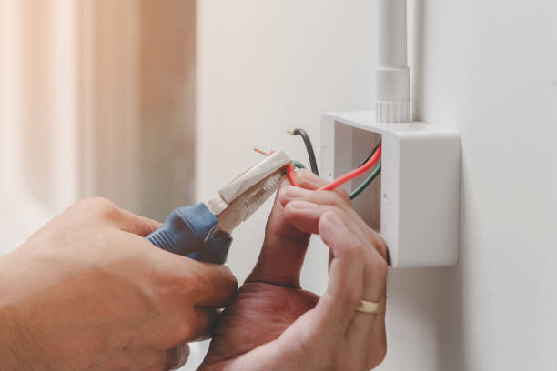 Best Electrical Panel Upgrades  in Sweeny, TX